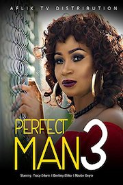 Perfect Man 3