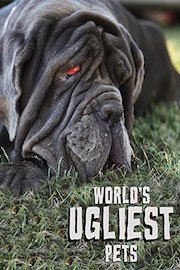 World's Ugliest Pets