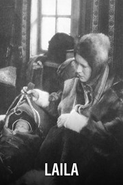 Laila
