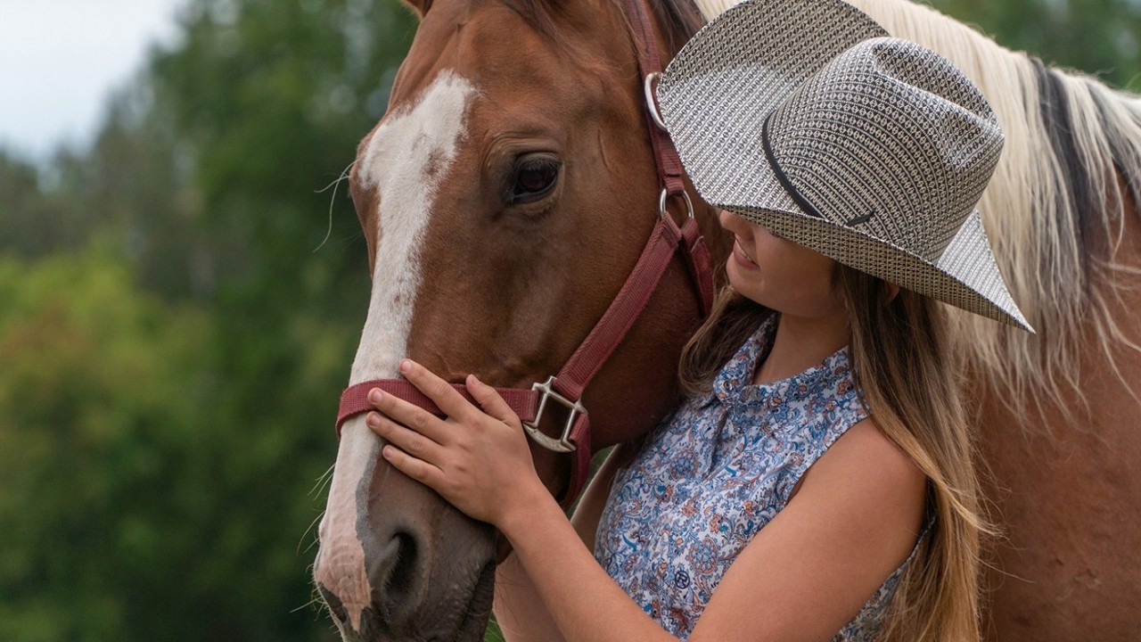 Horse Camp: A Love Tail