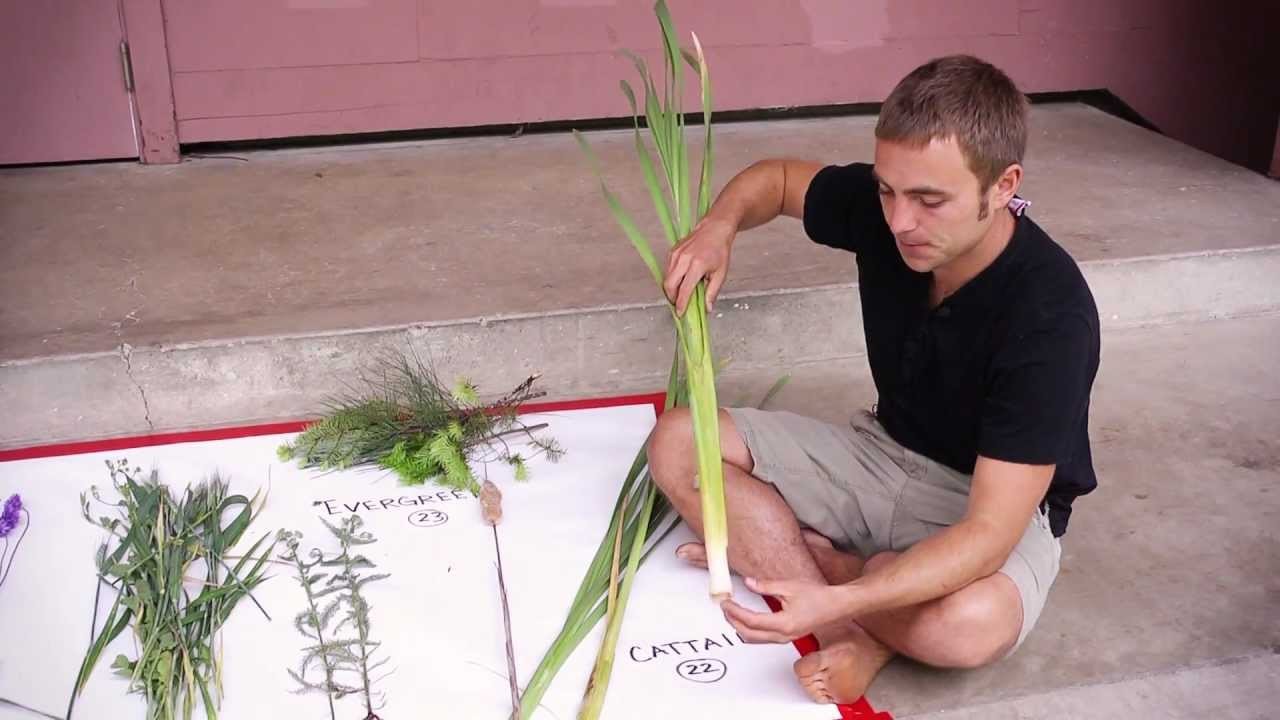 Wild Edibles with Sergei Boutenko