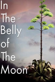 In The Belly of the Moon