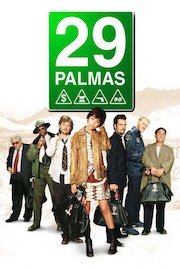 29 palmas