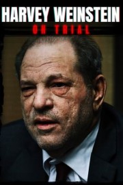 Weinstein: In Court