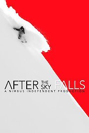 After the Sky Falls