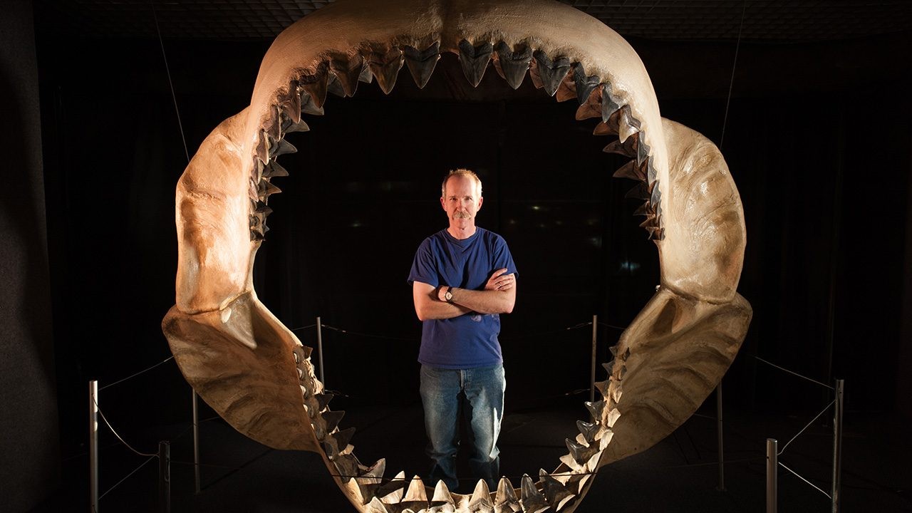 World's Biggest Beasts