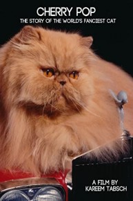 Cherry Pop: The Story of the World's Fanciest Cat