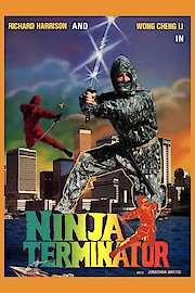 Ninja Terminator