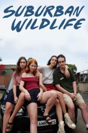 Suburban Wildlife