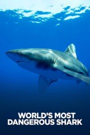 World's Most Dangerous Shark