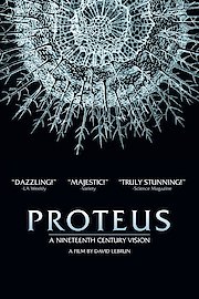 Proteus