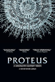 Proteus