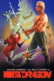 Ninja Dragon