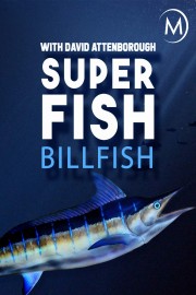 Superfish: Billfish