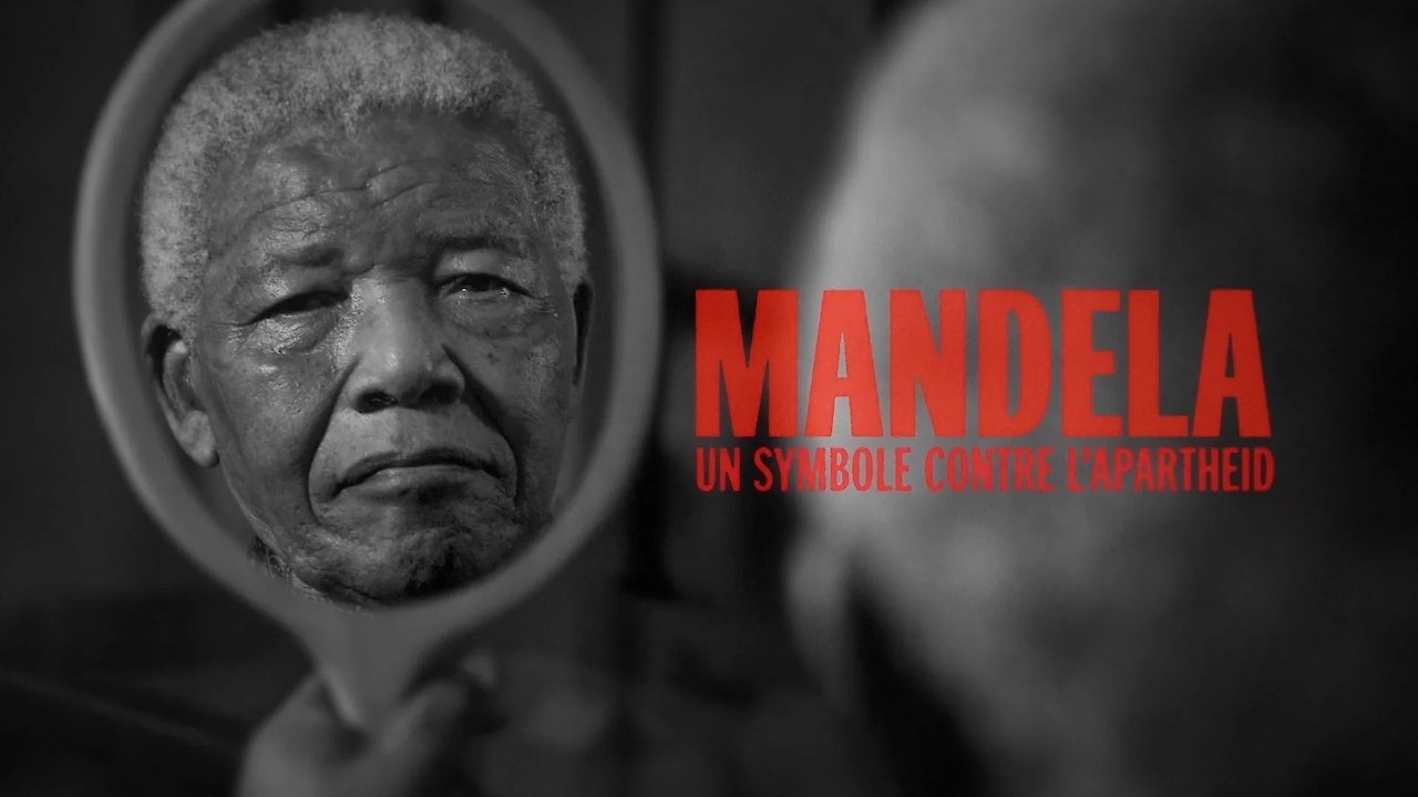 Nelson Mandela Beyond the Myth