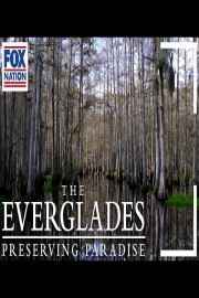 The Everglades: Preserving Paradise