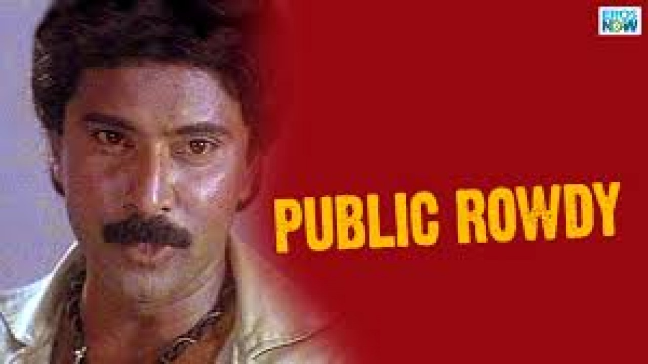 Public Rowdy