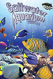 Salt Water Aquarium