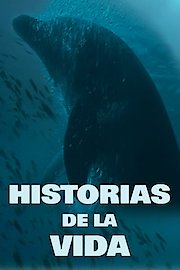 Historias De La Vida