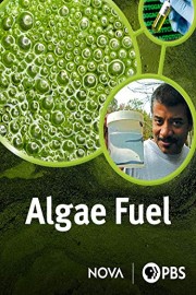 Algae Fuel