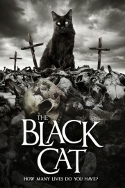 The Black Cat