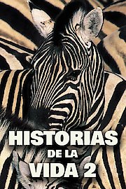 Historias De La Vida 2