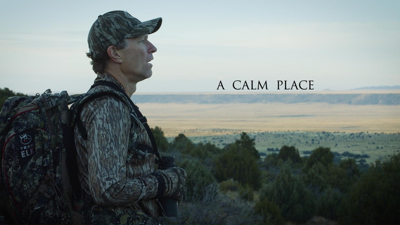 A Calm Place