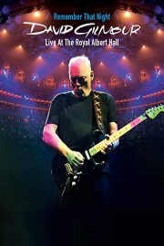 David Gilmour In Concert