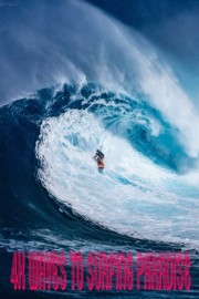 Fantastic Surfing Adventure