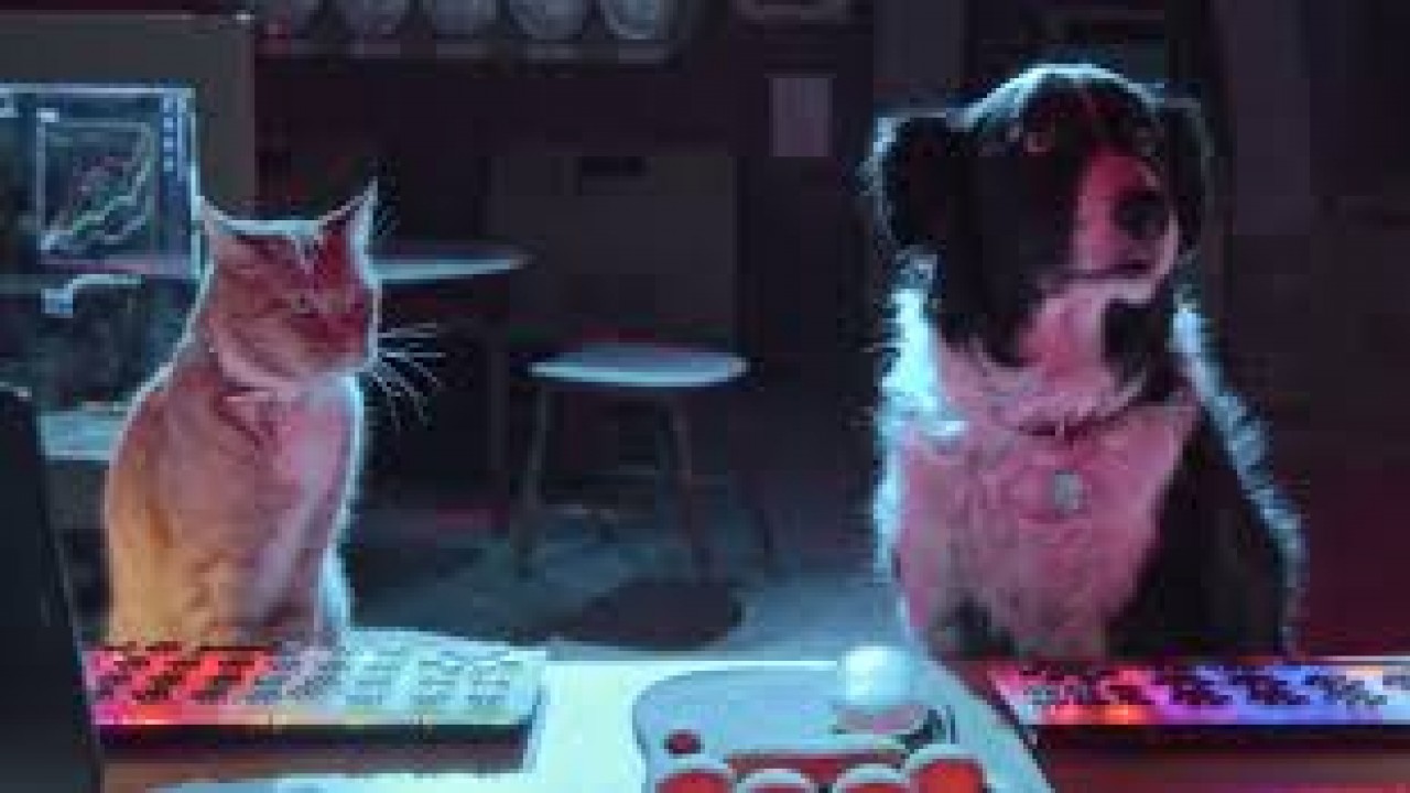 Cats and Dogs 3: Paws Unite