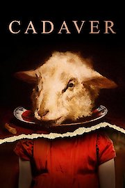 Cadaver