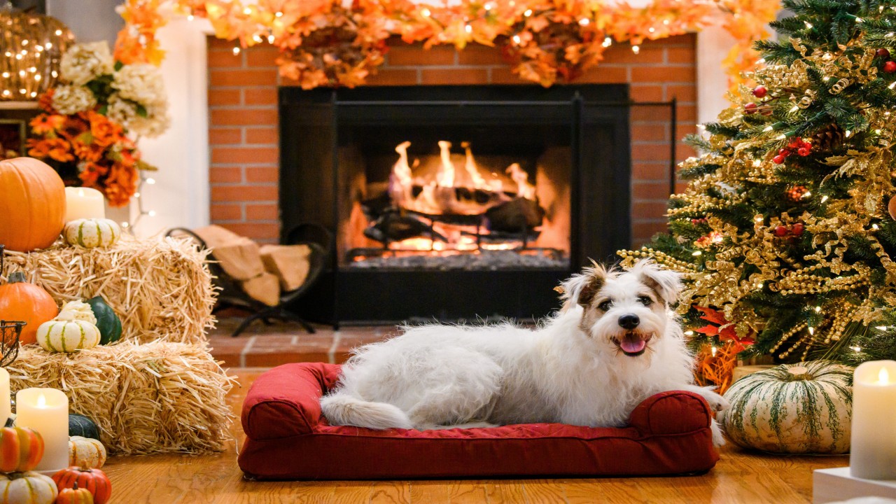 A Very Happy & Friends Yule Log