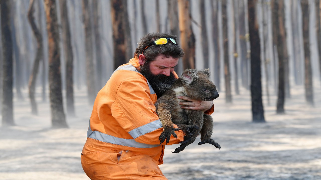 Australian Bushfire Rescue