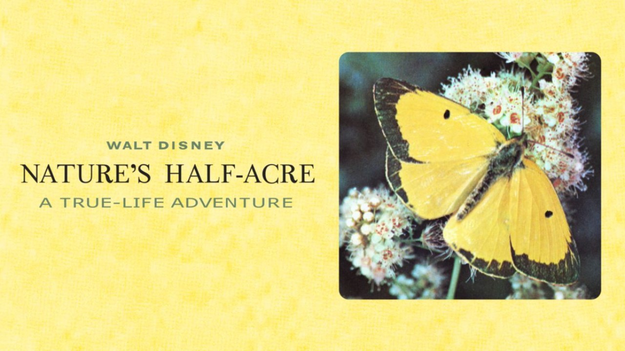Nature's Half Acre