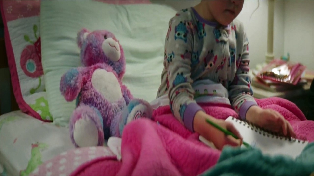 Lucy Shimmers' Christmas Miracle