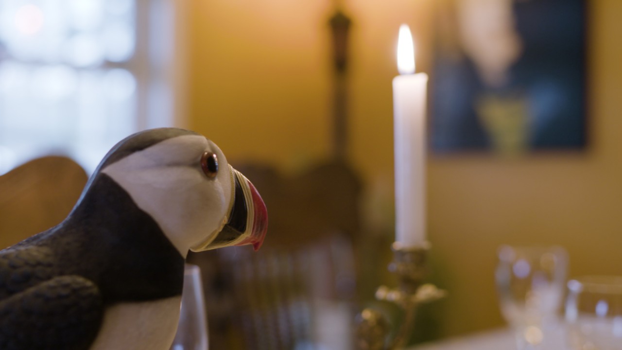 Puffins: Shorts Collection 1