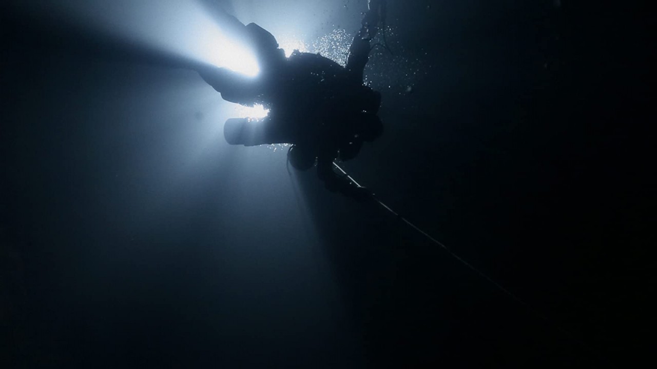 Dave Not Coming Back