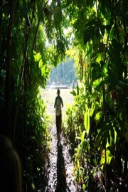 Expedition Wallacea