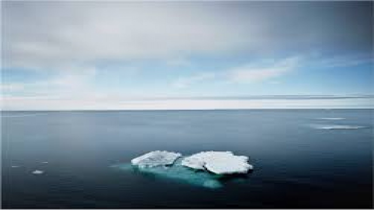 Ice Motion: A Journey Through the Melting Arctic