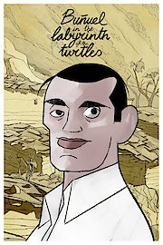 Bunuel en el laberinto de las tortugas