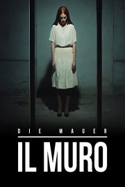 Il muro