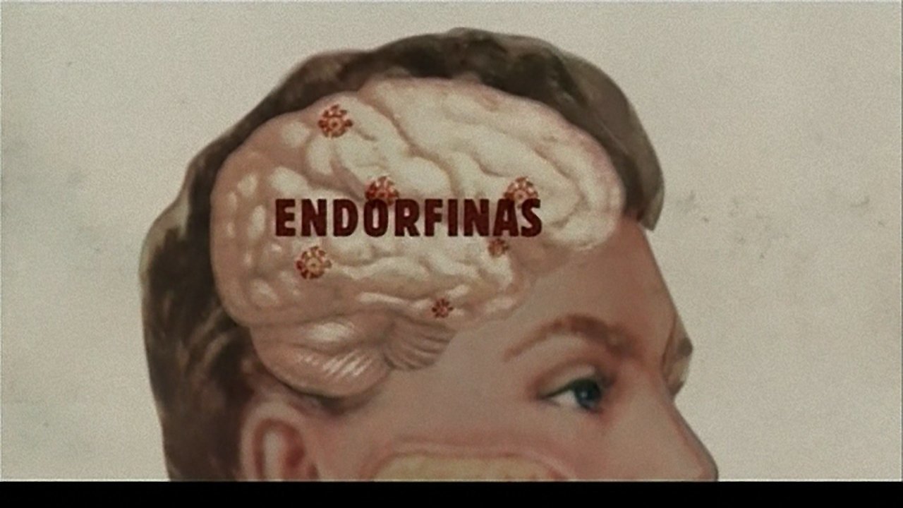 El Amor - primera parte