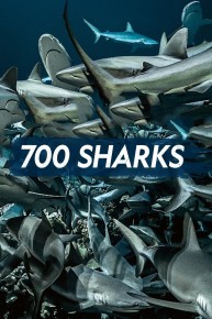 700 Sharks