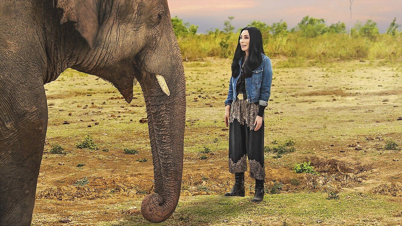 Cher & The Loneliest Elephant