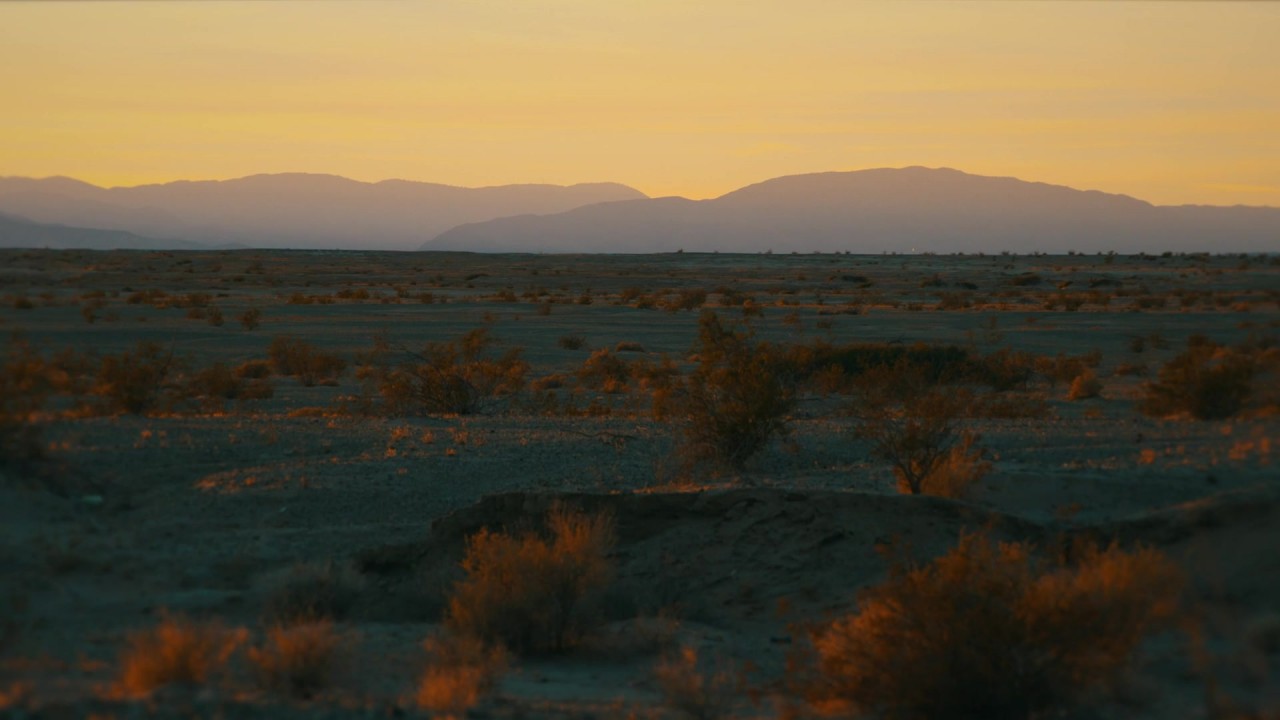 Wildest California