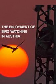 The Enjoyment Of Bird Watching In Austria