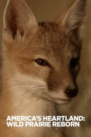 America's Heartland: Wild Prairie Reborn