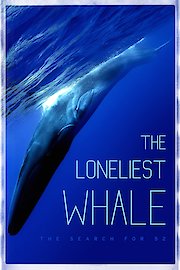 The Loneliest Whale: The Search for 52