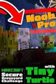 Secure Graveyard Challenge: Tiny Turtle