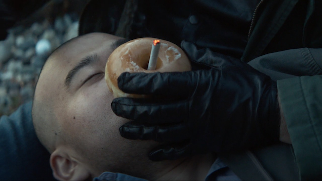 Some of Our Stallions